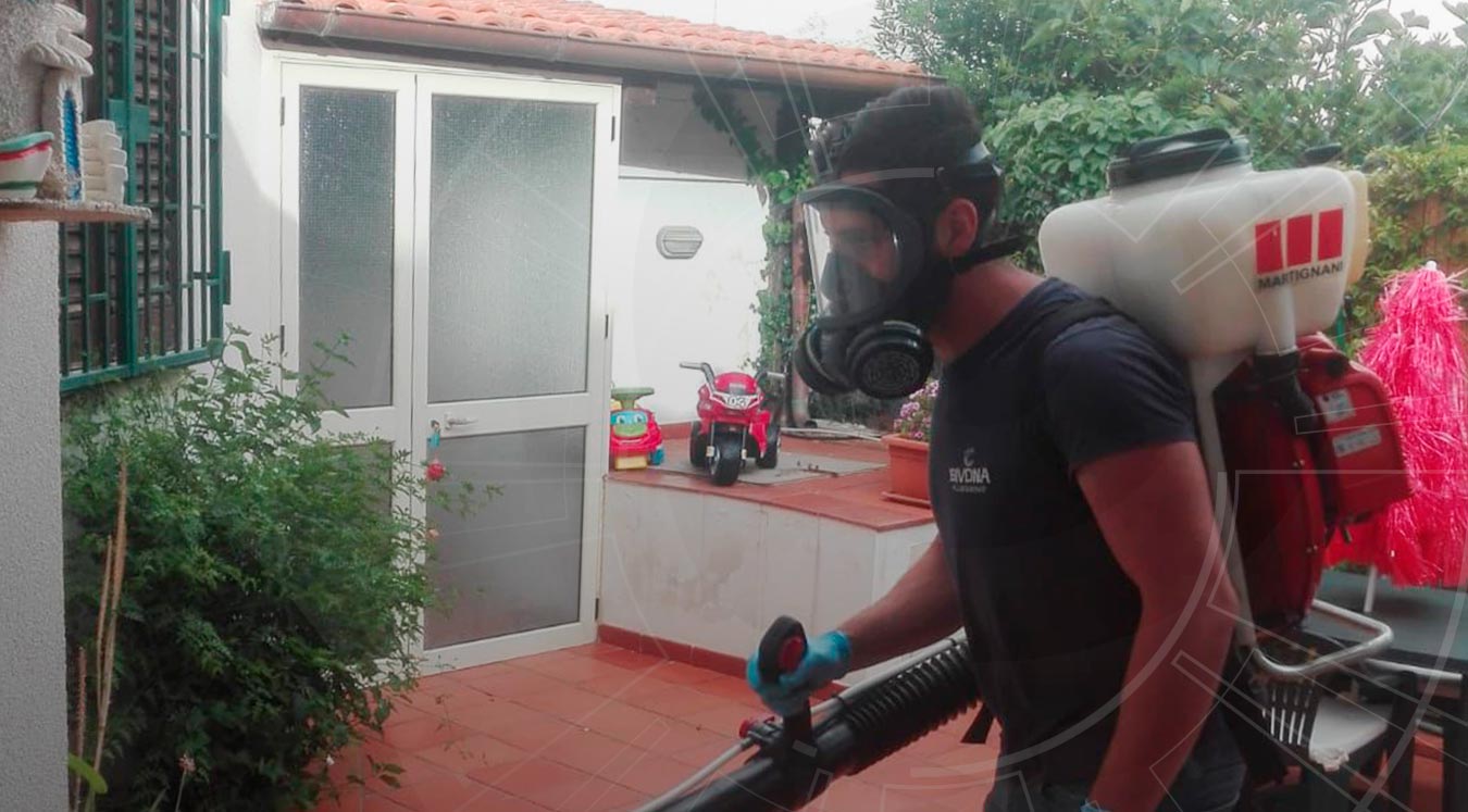 disinfestazione_zanzare_Palermo